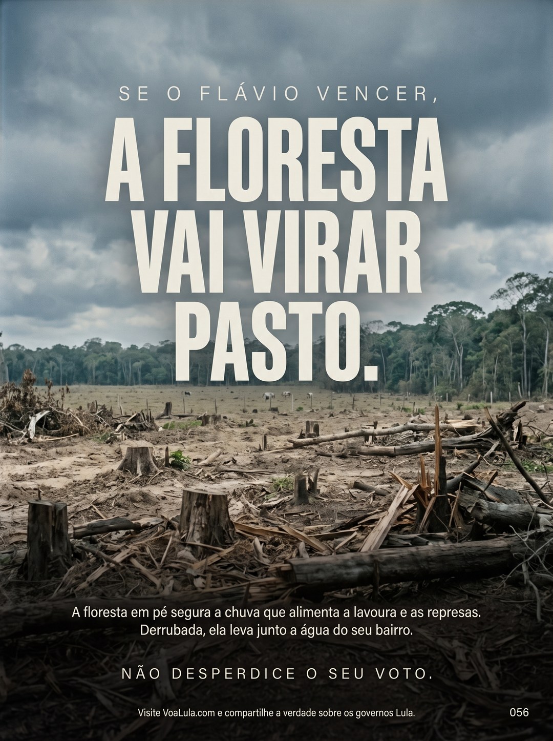 A FLORESTA VAI VIRAR PASTO.